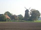 dsc00341.jpg