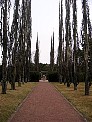 IMG_2212.JPG