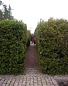 IMG_2214.JPG